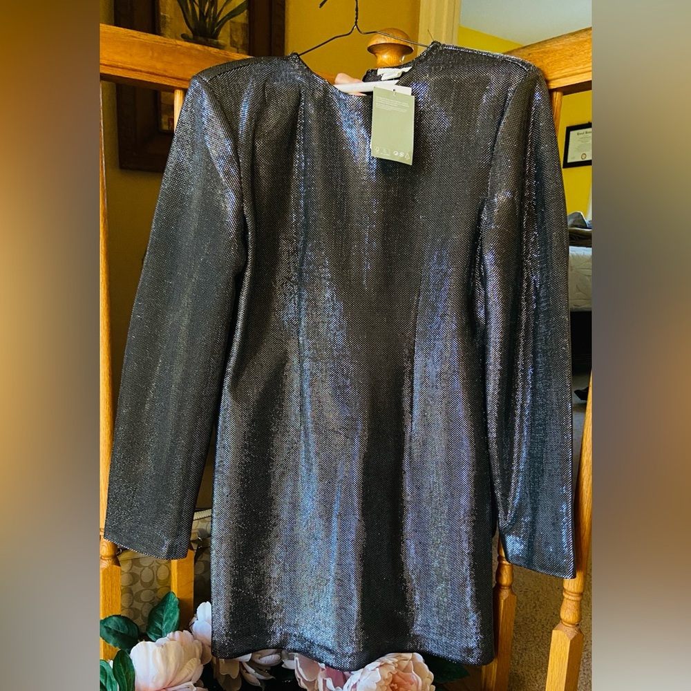 Shimmering Long Sleeve Dress